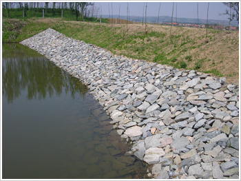 ���̰���