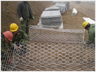 ���e�W(w��ng)�Y��