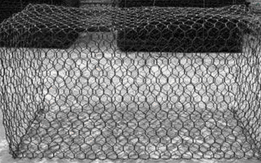 ���e�W(w��ng)